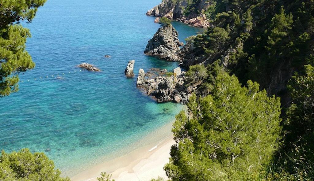 Apartament Antic Plankton - Calella Palafrugell - Free Parking, Beach, Wifi, Perfect Holidays Calella De Palafrugell Exterior foto